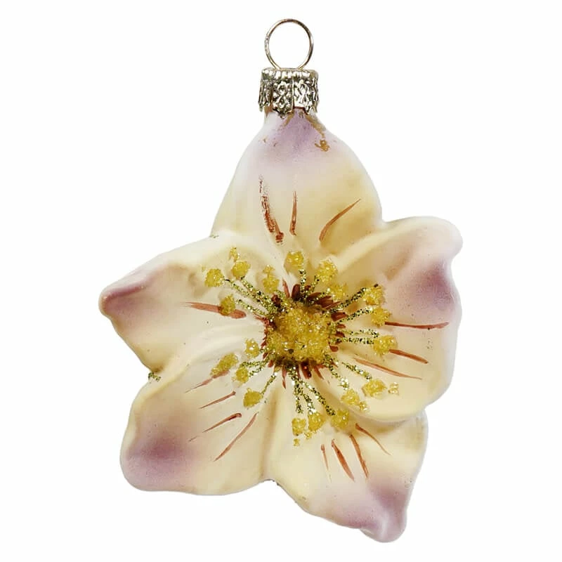 Cheap 🥰 Traditions Helleborus Ornament 🤩 - Image 2