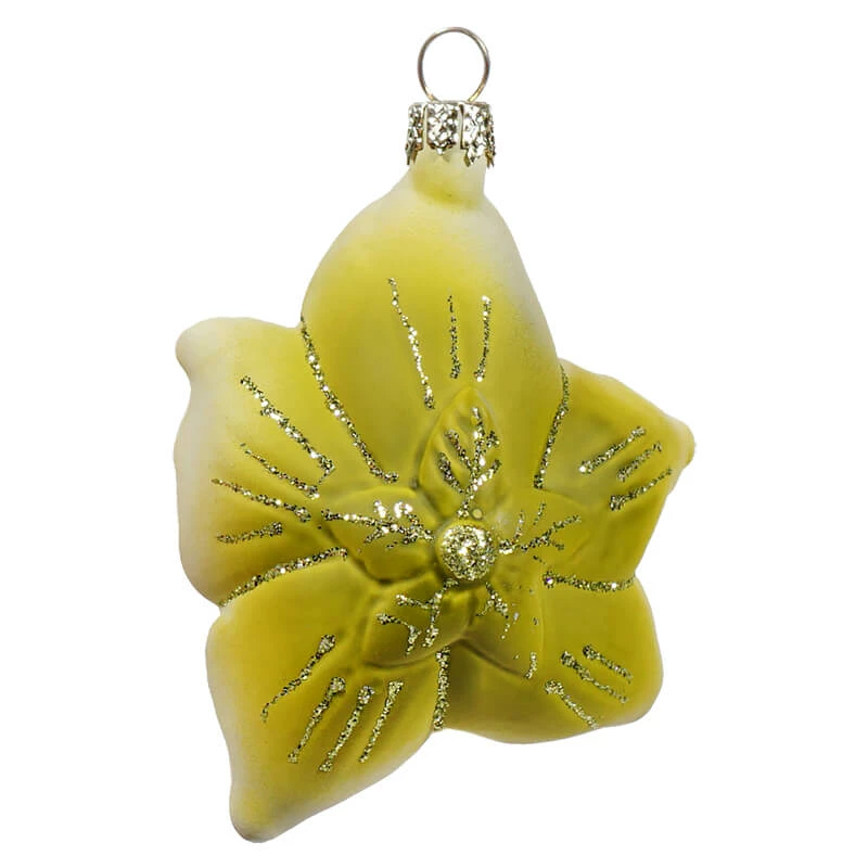 Cheap 🥰 Traditions Helleborus Ornament 🤩